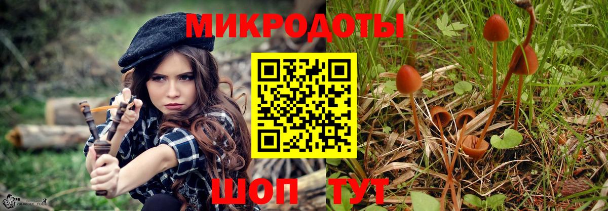 Галлюциногенные грибы Cubensis  Вход с VPN  купить  цена  Ахтубинск  Псилоцибиновые грибы Magic Shrooms 